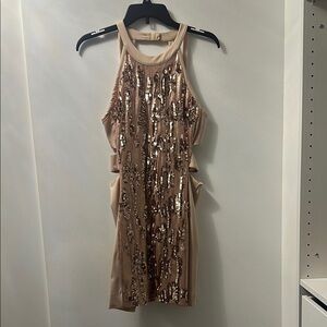 Sequin Embellished Rose Gold Dress